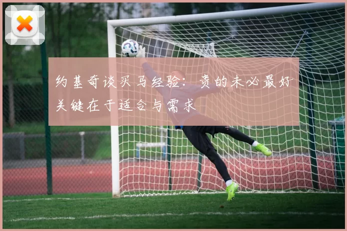 约基奇谈买马经验：贵的未必最好关键在于适合与需求